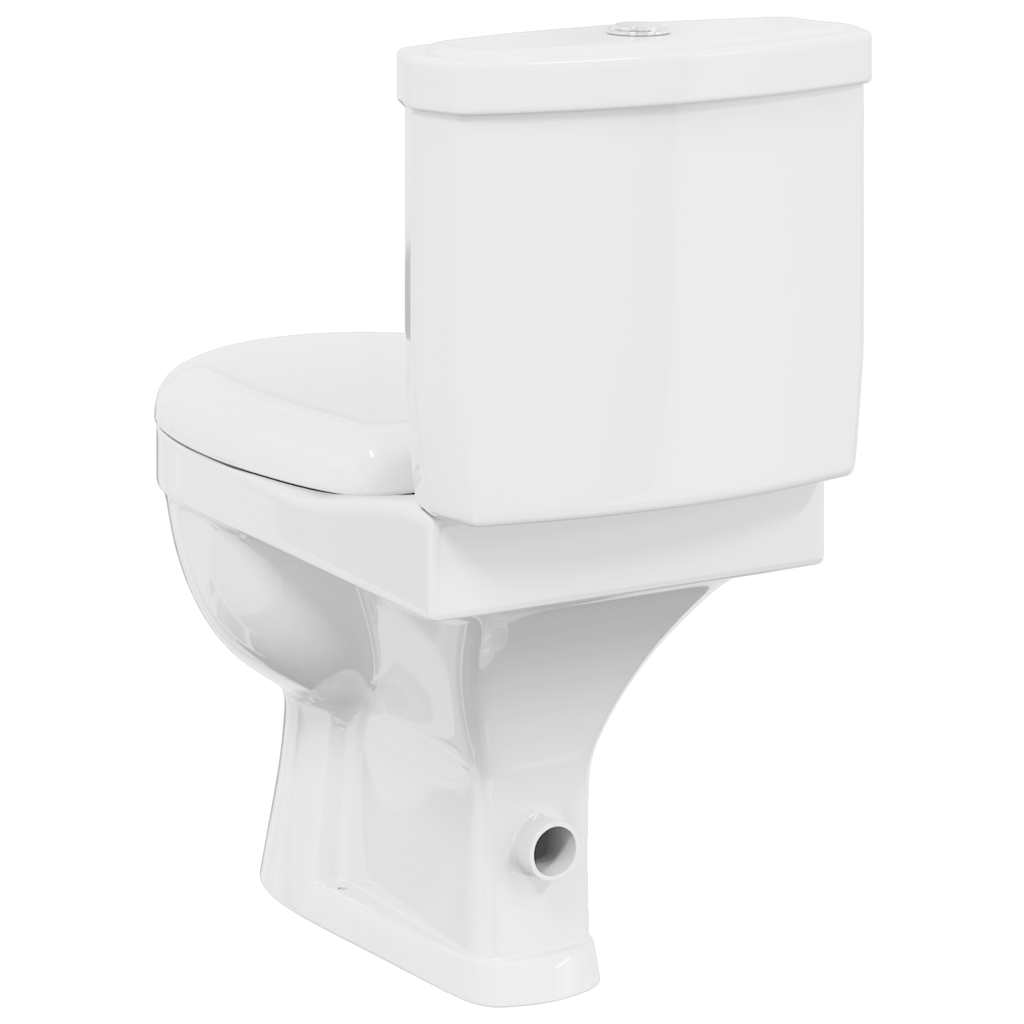 fehér WC tartállyal