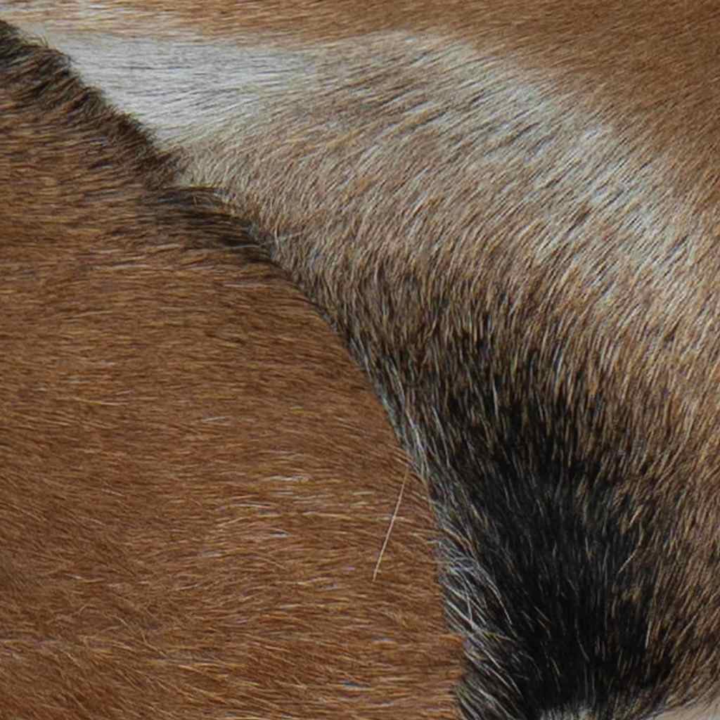 tíkfa pad kecskebőr kárpittal