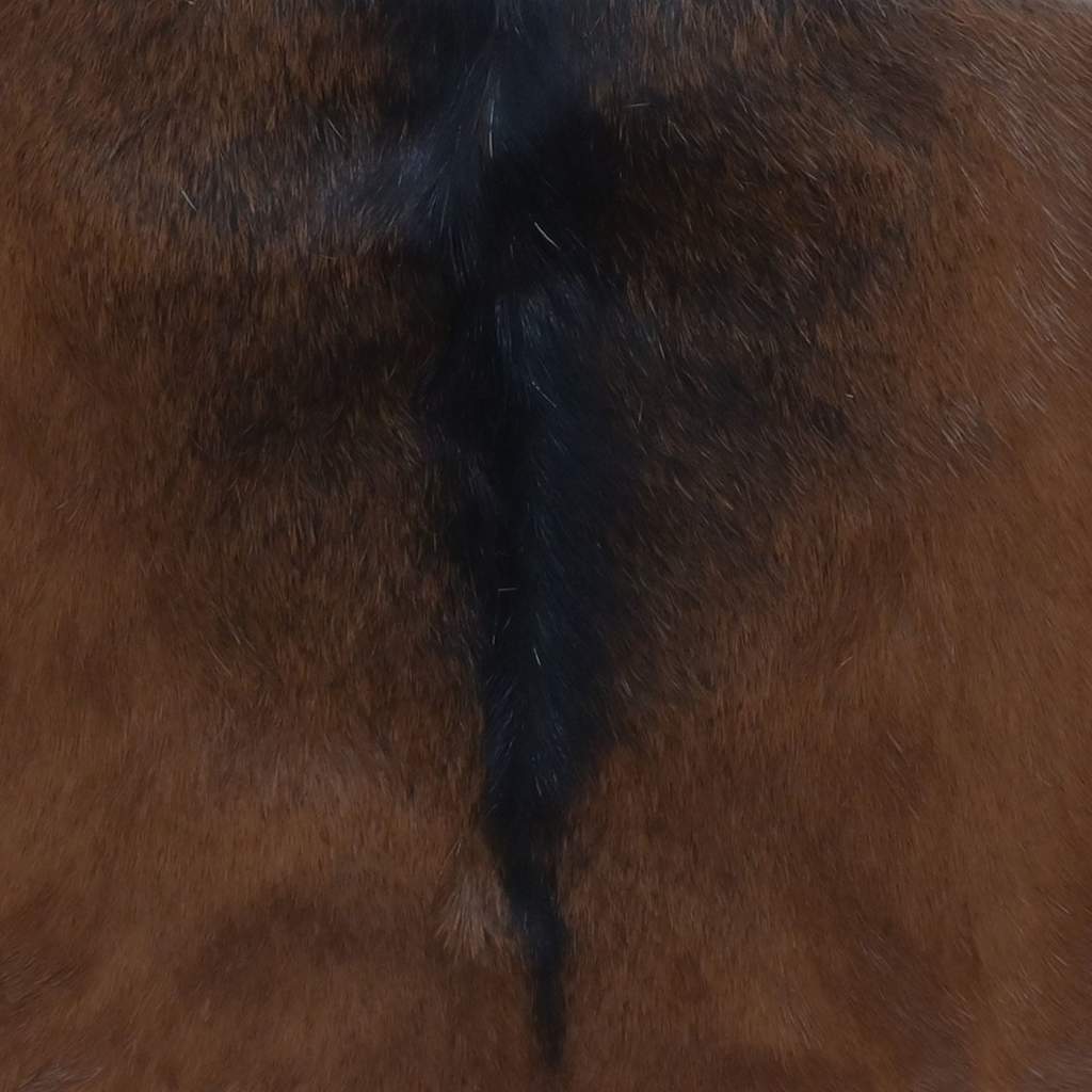 kecskebőr és tömör tíkfa összecsukható szék