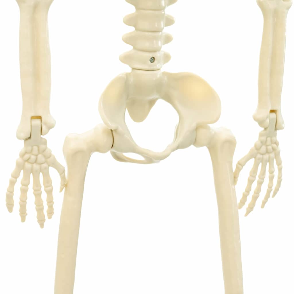 Halloween csontváz 2 pcs Fehér 85 cm PVC